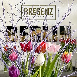 Bregenz Berlín
